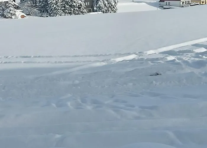 Apartamento Am Bachberg Familie Kreissl *